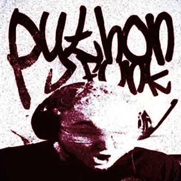 PYTHON FUNK (RD12) (slowdown)