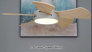 32 Inch Flush Mount Ceiling Fan with Lights and Remote, Small Modern Ceiling Fan with Light for Bedroom Kids Room Kitchen Dimmable Memory Light Timing Reversible DC Motor