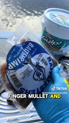 Chumming Tips for Tarpon Fishing in Florida Waters