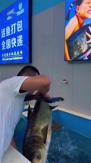 How Live Fish Are Transported Without Drying