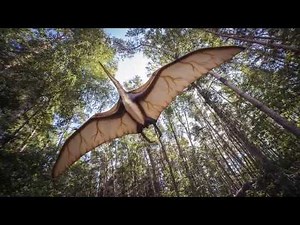 Pterodactyl Sighting in Illinois