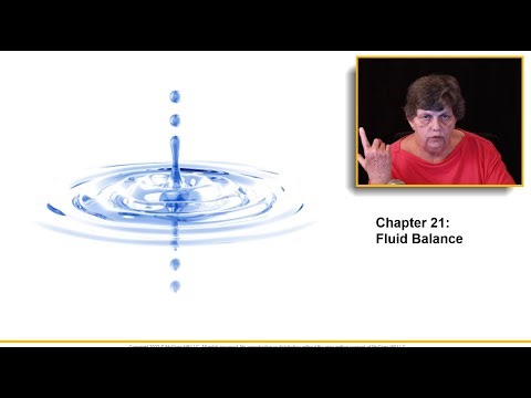 BIO 169 Ch21 Anatomy and Physiology II