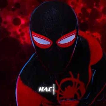 The Coolest Spider Man 🗿