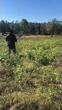 Stoeger M3000 pattern test 000 Buckshot