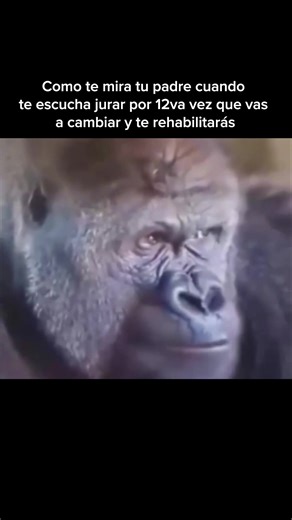 👁️Cómo te mira tu padre cuando te escucha jurar por 12ª vez que vas a cambiar y rehabilitarte No aplaude. No discute. Casi no reacciona. Porque ya no está escuchando la promesa. Está esperando la prueba. En esa mirada hay amor. Pero también desgaste. Hay esperanza… pero protegida. Quiere creerte. Pero aprendió a no ilusionarse demasiado. La confianza no se reconstruye con palabras épicas. Se reconstruye con coherencia diaria. No necesitas jurar más fuerte. Necesitas actuar más constante. Si qui