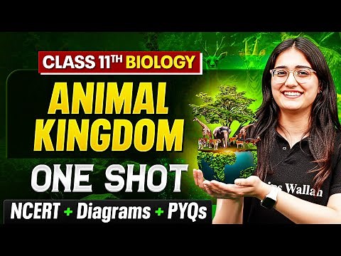 Animal Kingdom Class 11 One Shot 🔥 | NCERT + Diagrams + PYQs | Biology Chapter 4 by Aarushi Ma'am