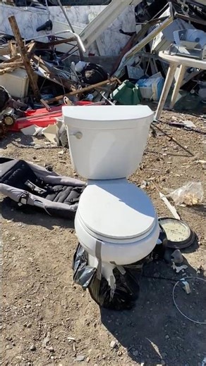 Discarded Round Bowl 2012 Kohler Cimmaron