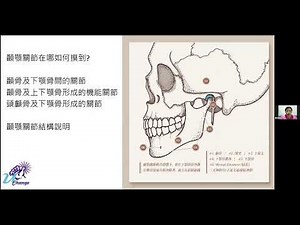 2022台灣動作專家協會知識季 顳顎關節功能性動作介紹