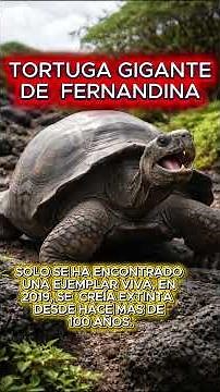 7 ANIMALES QUE SE CREÍAN EXTINTOS