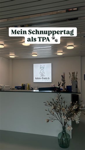 Pam on Instagram: "Katzen – und Tiere generell – tun mir einfach gut 🐾💗 Auch mit 33 darf man immer noch schnuppern gehen 😉 maybe melne neue Berufung? Von süssen Patienten über spannende Einblicke hinter die Kulissen bis hin zu ganz viel Lernen – dieser Schnuppertag als TPA in der Katzen-Praxis Horgen war eine schöne Erfahrung. Danke für die offene, zuvorkommende Art – man hat sich sofort wohlgefühlt und konnte sich mit dem ganzen Team wunderbar austauschen 🩺💛 Die Katzen-Praxis Dr.L. Wohlgro