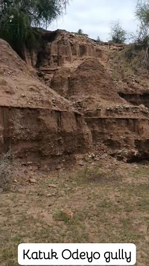 Katuk Odeyo gully part 22. We observe water pool inside the gully and it's the most dangerous part. We also see gullies within the main gully. #katukodeyogully | Warah Dickens