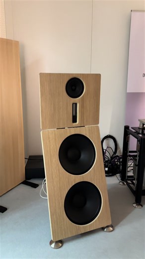 Matters of High-End Audiophile Sound Systems