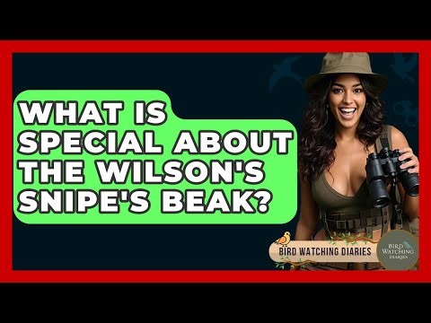 What Is Special About The Wilson's Snipe's Beak? - Bird Watching Diaries
