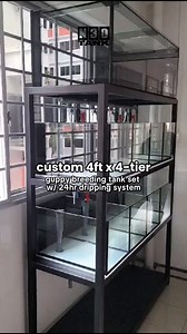 3.1K views · 33 reactions | Custom 4ft X 4 tier Guppy breeding tank set with 24hr dripping system! #n30 #N30Tank #guppy #aquarium | N30 Tank | Facebook