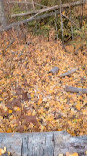 31 reactions | Tackling the big question of where does art come from?...