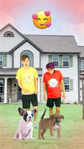 Animals Are FRIENDS! 😭❤️