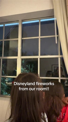 #fireworks #disneyland