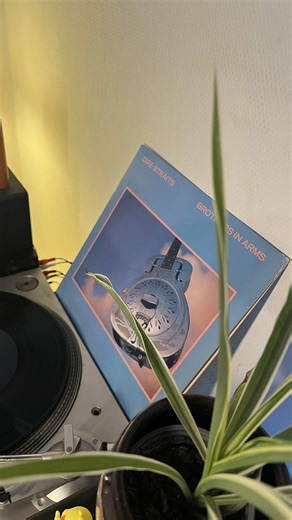 Dire Straits - Brothers in Arms | 1985 Discover Dire Straits’ monumental masterpiece on vinyl! “Brothers in Arms” is a landmark album that became one of the best-selling records of the 80s, blending Mark Knopfler’s distinctive guitar work with lush production and poignant songwriting. This was one of the first albums recorded digitally, yet its warmth and emotional depth made it a massive commercial and critical success worldwide. This LP captures the pristine sound quality and atmospheric textu