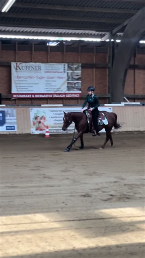 Understanding Reining Horses: Flying Lead Changes Explained