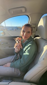 401K views · 21K reactions | David & Chelsie funny compilation 藍 | Davidprinceofficial | Facebook