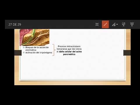 AMILASA Y LIPASA SÉRICA