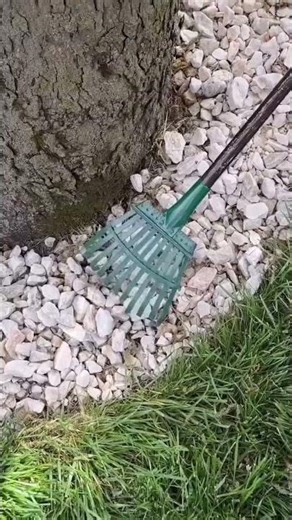 How I Finally Stopped My Yard Rocks From Scattering!