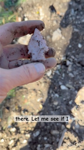 Point! #arrowhead #arrowheadhunting #nativeamerican #artifacts #artifacthunting #rockhounding #relic