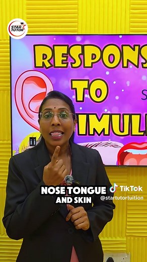 Understanding Human Stimuli: How Our Senses React