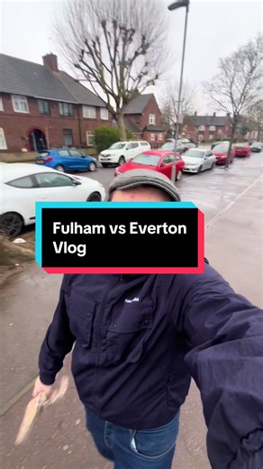 Fulham vs Everton Match Highlights and Analysis