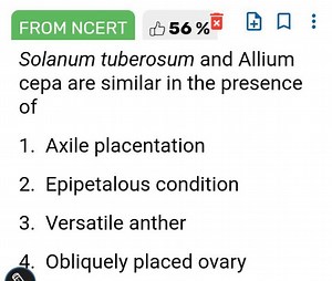 Solanum tuberosum and Allium cepa are similar in the presence o... | Filo