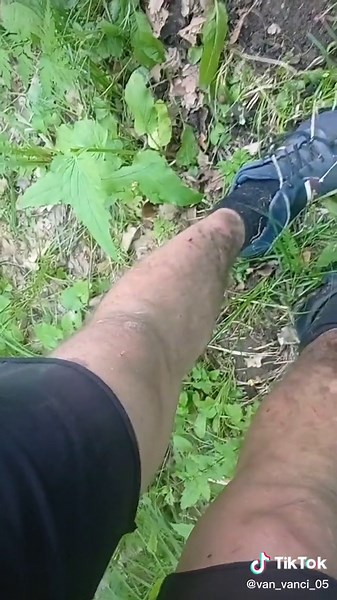 van.vanci (@van_vanci_05)’s videos with sunet original - van.vanci