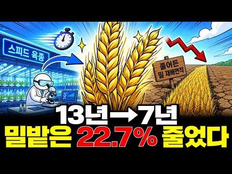 13 Years to 7: The 'Irum' Wheat Breakthrough—Faster Tech, but 22.7% Drop in Cultivation Area