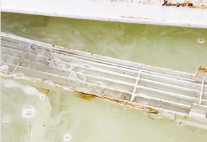 Refresh Your FRIDGE with These Cleaning Tricks | Clean That Up