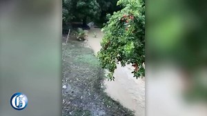 28K views · 283 reactions | As heavy rains associated with Hurricane...