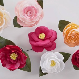 888K views · 4.9K reactions | We've been waiting for you, Spring!...