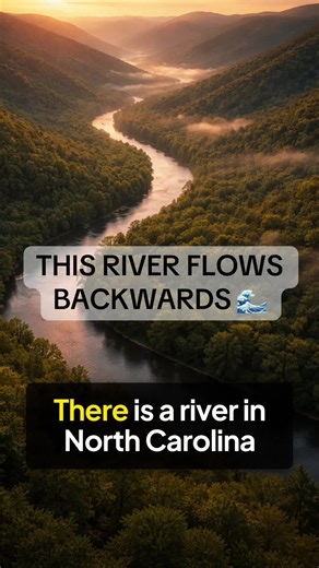 The New River in North Carolina is one of the most inappropriately named rivers on Earth. It is among the oldest rivers in the world possibly 300 million years old and it flows northward, defying every other river on the East Coast. It flows through rocks over a billion years old. It has 7 species of fish found nowhere else on Earth. And in the 1960s, they tried to dam it. The people of NC stopped them. #NewRiver #NorthCarolina #OldestRiver #BluRidge #Nature