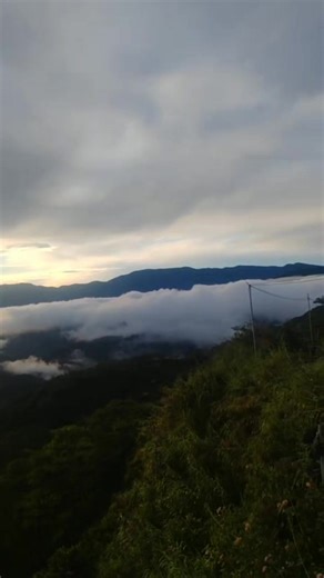 The value of the green environment give us hope and clarification in life that whatever storm come we can survive like the trees | Jhona Sumaylo