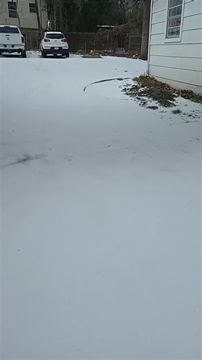 💫✨⚡🌛🖕. (@crazy_work0000)’s videos with original sound - pink_panther