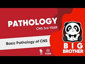 Basic pathology of CNS