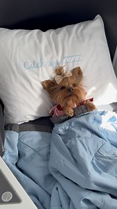 100K views · 26K reactions | POV: Your travel partner has a...