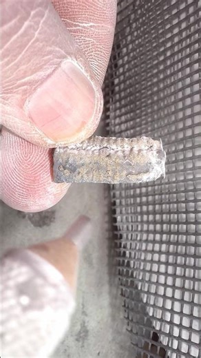 Here’s an outstanding example of a Crinoid fossil specimen that has been found and prepared