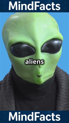 How the pyramid build #science #theory #pyramid