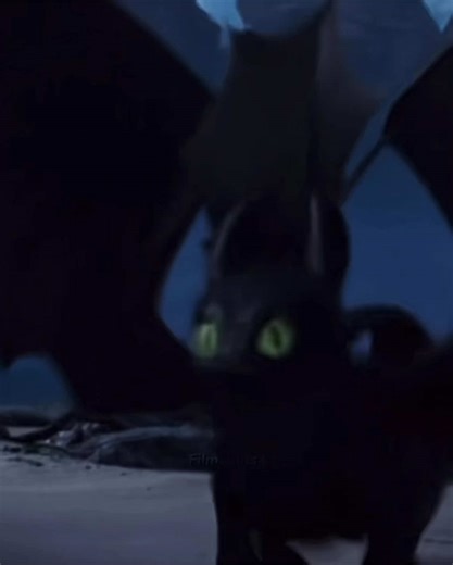 Toothless the Cat: Adorable Moments Worth Watching