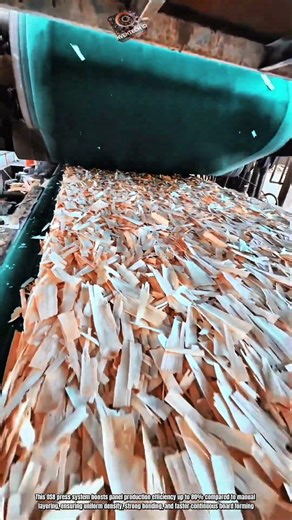 Best Innovation OSB Board Press Machine: How to Form Wood Panels Efficiently