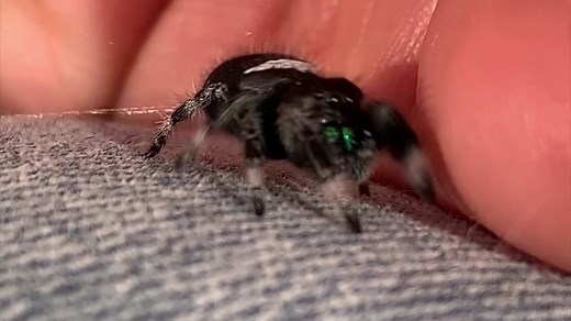 He’s been this extra since birth…😅