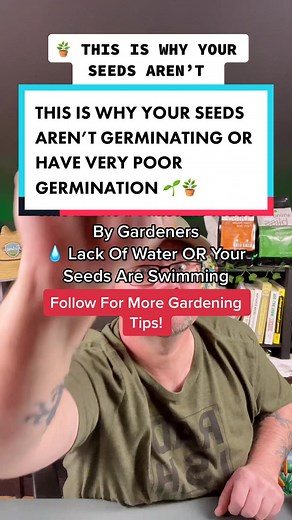 Common Reasons for Seeds Not Germinating in Gardening