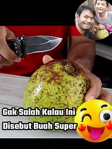 80K views · 489 reactions | Gak salah kalau ini disebut buah super殺陋#avocado #alpukat #Grafting | Grafting Examples | Facebook