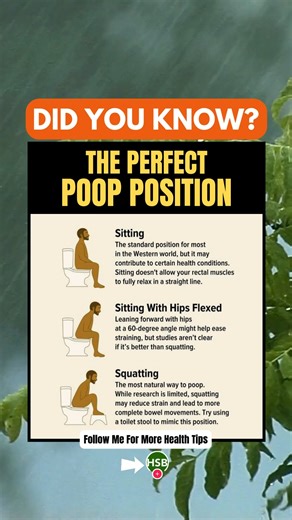 Health | Spirit | Body on Instagram: "The Best Way to Poop? 💩 Your Toilet Posture Matters! Not all bathroom habits are created equal 🚽✨ Discover the healthiest position for smoother, strain-free bowel movements—from traditional sitting to squatting. Your gut (and booty) will thank you! #GutHealth #BathroomTips #PoopPosture"