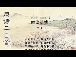 赠孟浩然 李白