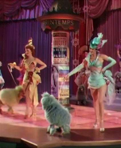 Obsessed with this iconic poodle scene from “April in Paris” (1952). Leah Rhodes’ costumes are playful, glamorous, and, oh, so camp. #oldhollywood #burlesque #costumedesign #vintagestyle #fyp